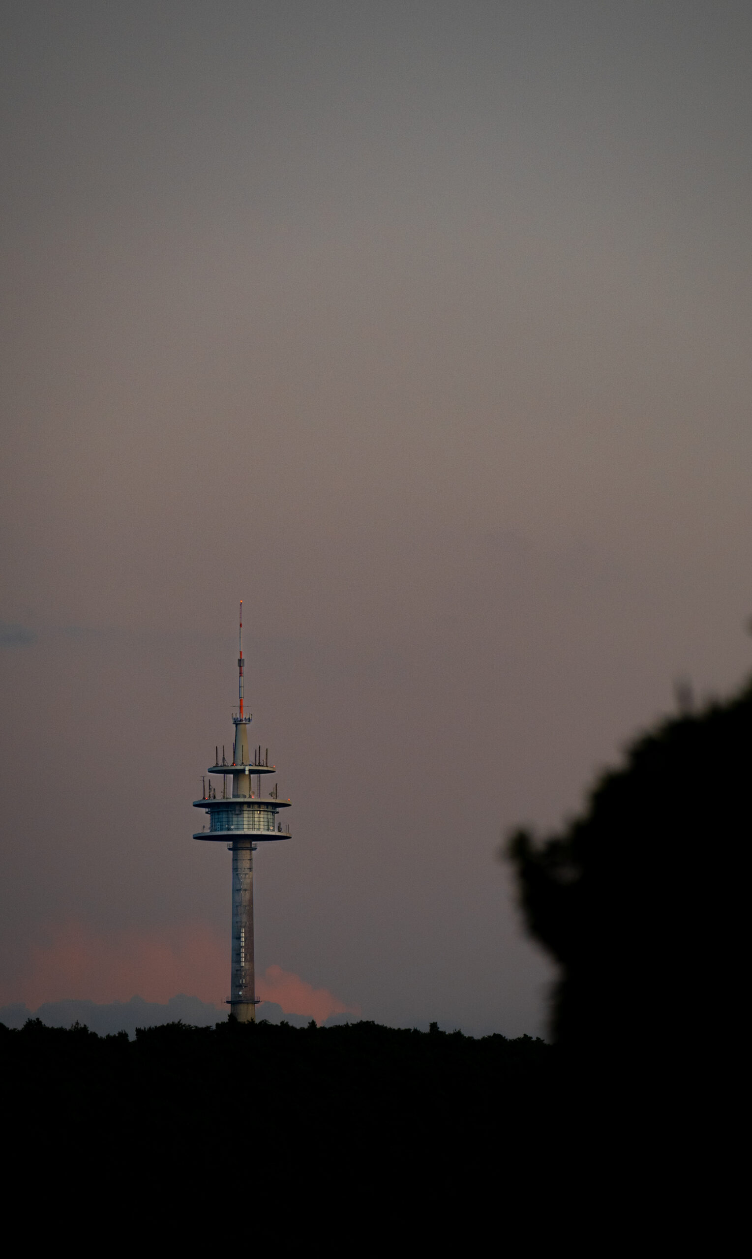 _DSC0453
